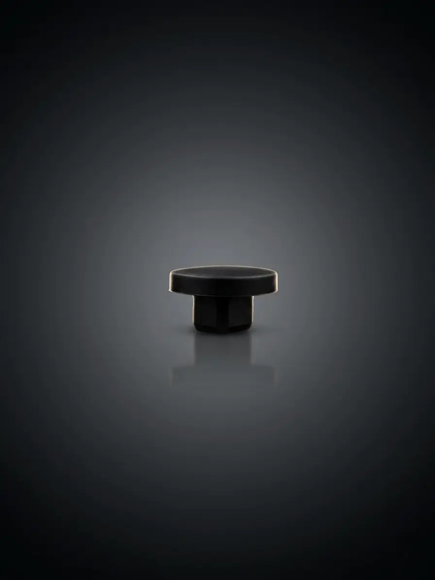 Mouthpiece Plug
